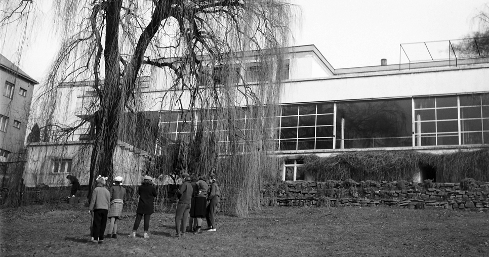 Pohled na vilu ze zahrady s původní smuteční vrbou, únor 1959, foto: Miloš Budík